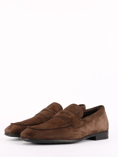 Shop Tod's Suede Loafer Brown