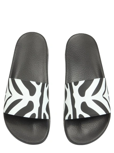 Shop Dsquared2 Sporty Zebra Slide Sandals In Multicolour