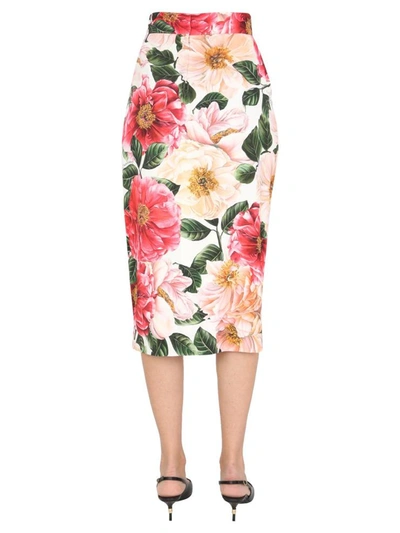 Shop Dolce & Gabbana Long Skirt In Pink