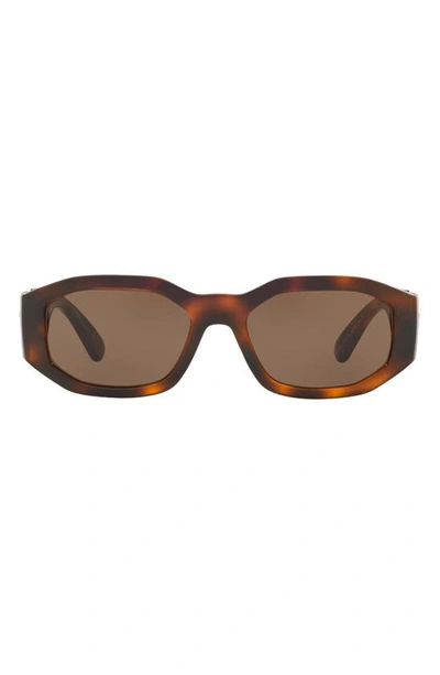 Shop Versace Biggie 53mm Round Sunglasses In Havana/ Brown Solid