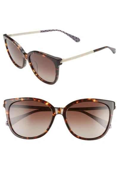 Shop Kate Spade Britton 55mm Cat Eye Sunglasses In Dark Havana/ Brown