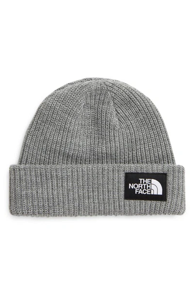 Shop The North Face Salty Dog Beanie In Tnf Light Grey Heather