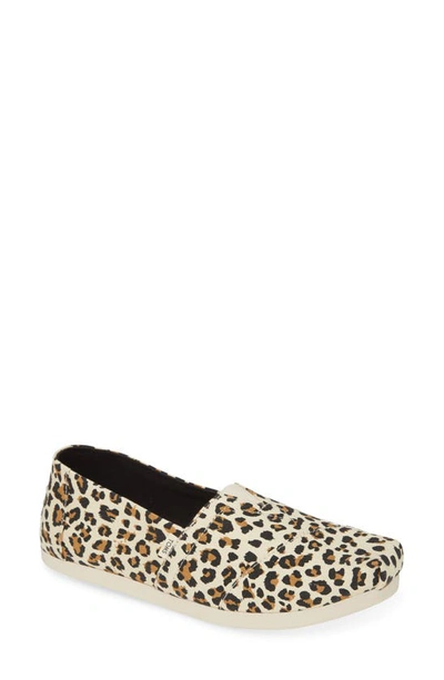 Shop Toms Alpargata Slip-on In Birch Leopard Print Canvas