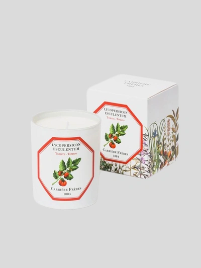 Shop Carriere Freres Tomato