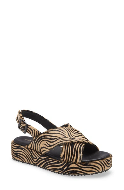 Shop Intentionally Blank Sum Genuine Calf Hair Platform Sandal In Beige Zebra Calf Hair
