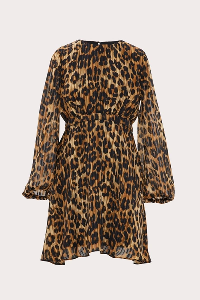 Shop Milly Mini Elma Cheetah Burnout Dress In Multi