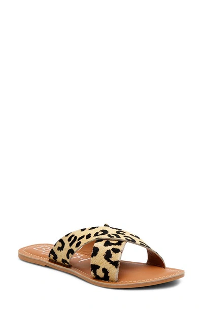 Shop Coconuts By Matisse Pebble Slide Sandal In White Leopard Calf Hair