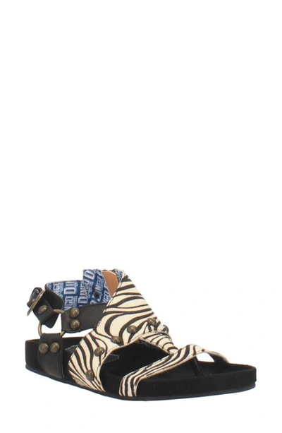 Shop Dingo Sage Brush Sandal In Zebra Print Calf Hair