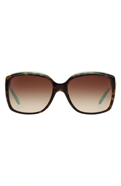 Shop Tiffany & Co 58mm Rectangular Sunglasses In Havana/ Blue/ Brown Gradient