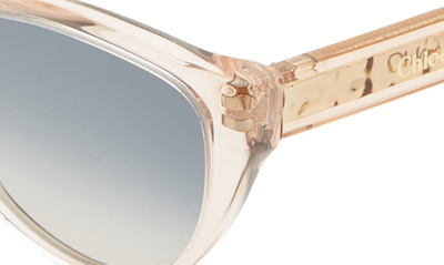 Shop Chloé Willow 55mm Cat Eye Sunglasses In Peach/ Blue