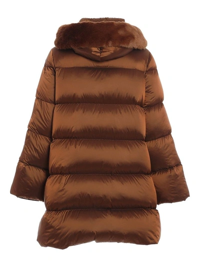 Shop Fay Women's Brown Polyamide Down Jacket