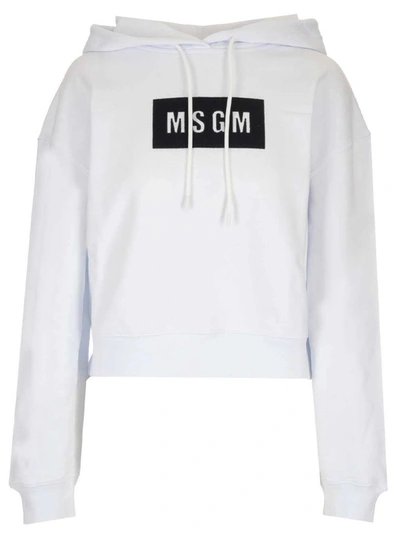 Shop Msgm Women's White Cotton Sweatshirt