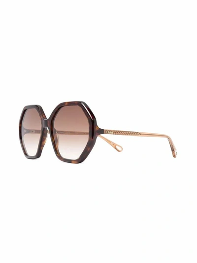 Shop Chloé Women's Brown Acetate Sunglasses