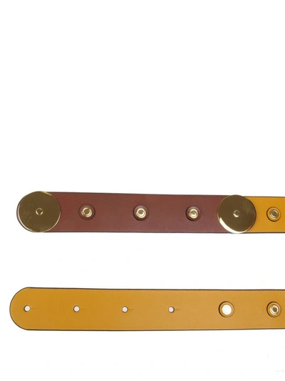 Shop Marni Women's Yellow Leather Belt