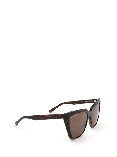 Shop Balenciaga Women's Brown Acetate Sunglasses