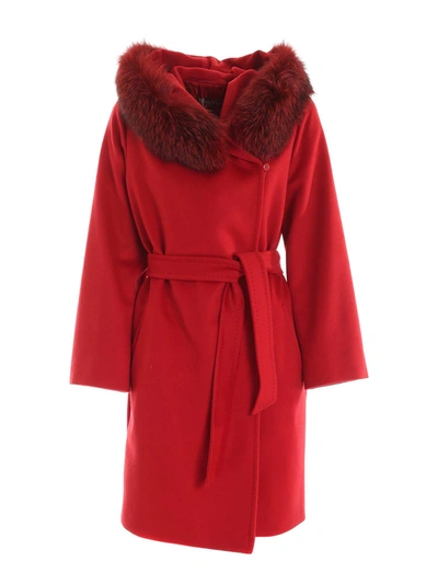 Shop Max Mara Mango Coat In Red