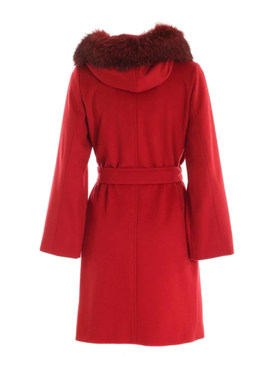 Shop Max Mara Mango Coat In Red