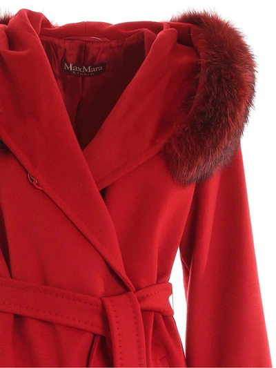 Shop Max Mara Mango Coat In Red