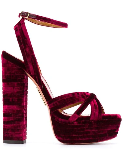 Shop Aquazzura Women's Fuchsia Velvet Sandals