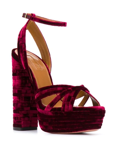 Shop Aquazzura Women's Fuchsia Velvet Sandals