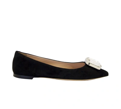 Shop Giuseppe Zanotti Design Women's Black Suede Flats