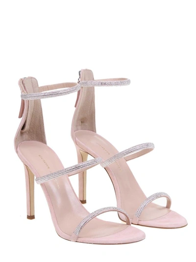 Shop Giuseppe Zanotti Design Women's Pink Leather Sandals