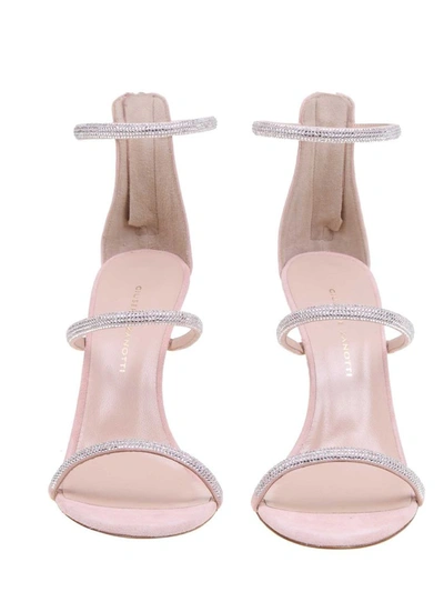 Shop Giuseppe Zanotti Design Women's Pink Leather Sandals