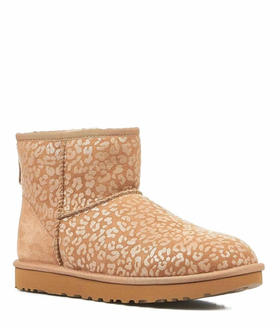 Shop Ugg Women's Brown Boots