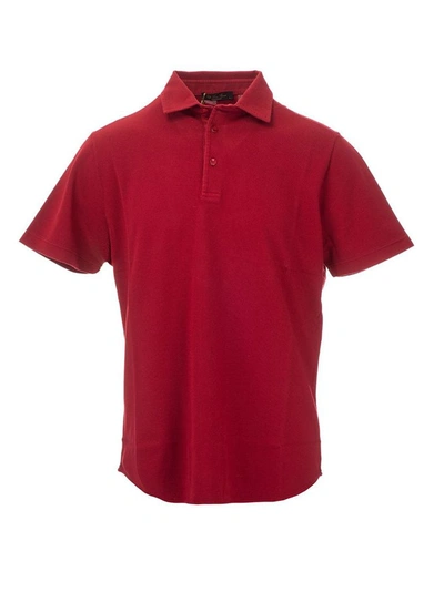 Shop Loro Piana Men's Red Cotton Polo Shirt