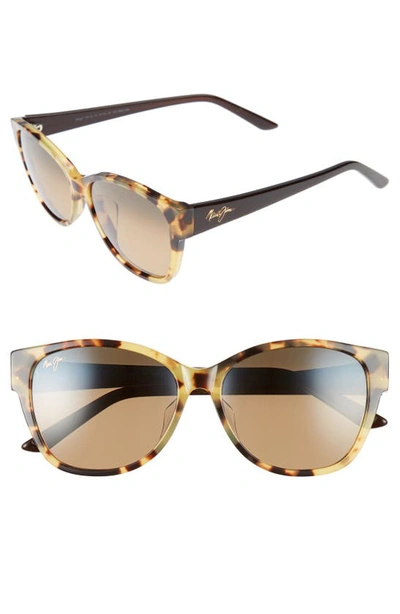 Shop Maui Jim Summer Time 54mm Polarizedplus2 Cat Eye Sunglasses In Tokyo Tortoise/ Hcl Bronze