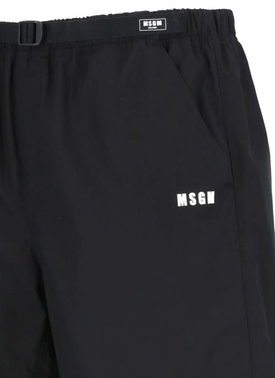 Shop Msgm Shorts Black
