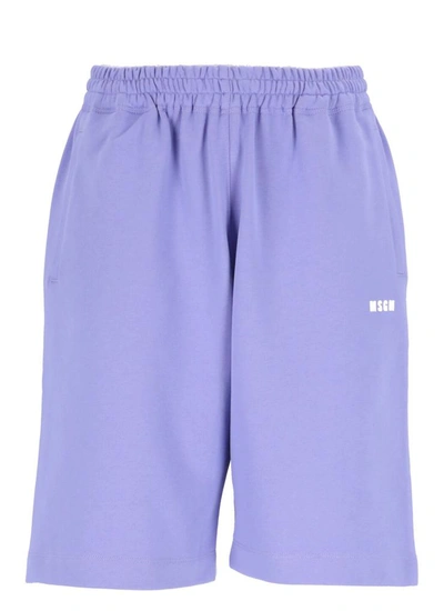 Shop Msgm Shorts Purple In Wisteria