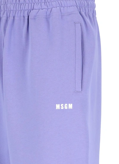 Shop Msgm Shorts Purple In Wisteria