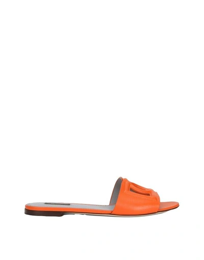 Shop Dolce & Gabbana Sandals Orange In Fuchsia