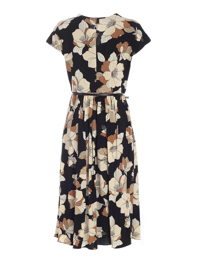 Shop Max Mara Studio Cordoba Floral Print Dress In Multi