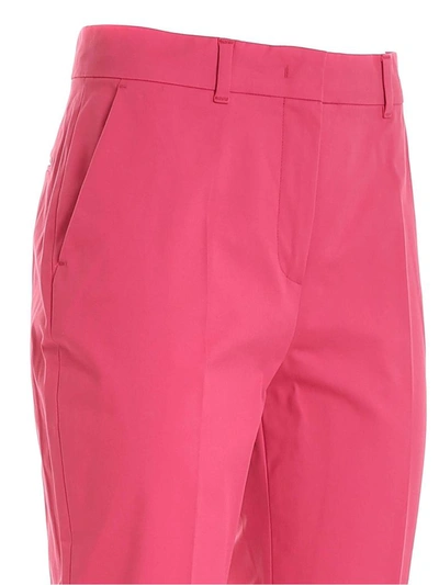 Shop Max Mara Studio Nichel Tailored Trousers In Pink