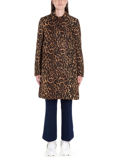 Shop Miu Miu Leopard Print Coat In Brown