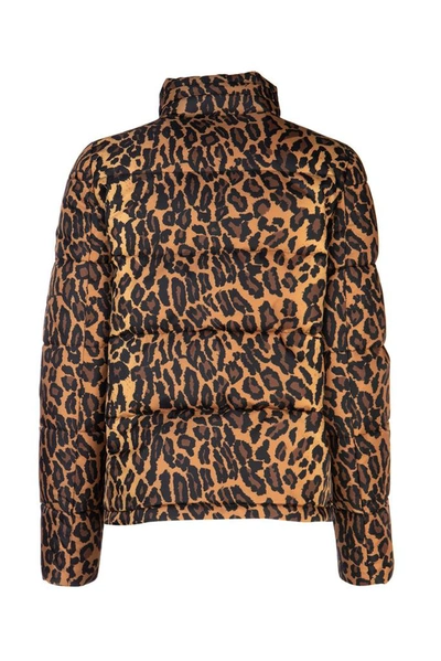 Shop Miu Miu Animal Print Padded Jacket In Multi