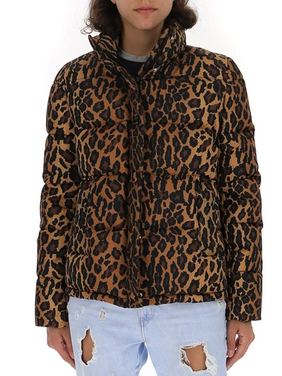 Shop Miu Miu Animal Print Padded Jacket In Multi