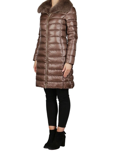 Shop Herno Elisa Fur Trimmed Padded Coat In Brown
