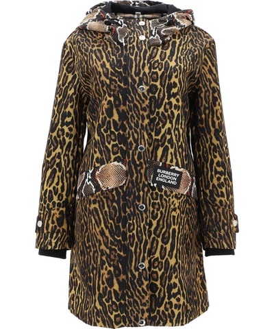 Shop Burberry Animal Print Raincoat In Brown
