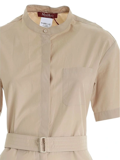 Shop Max Mara Studio Belted Short In Beige