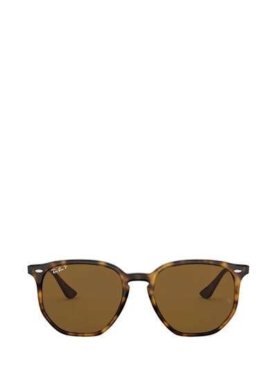 Shop Ray Ban Ray In Brown