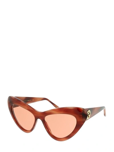 Shop Gucci Eyewear Cat Eye Frame Sunglasses In Multi