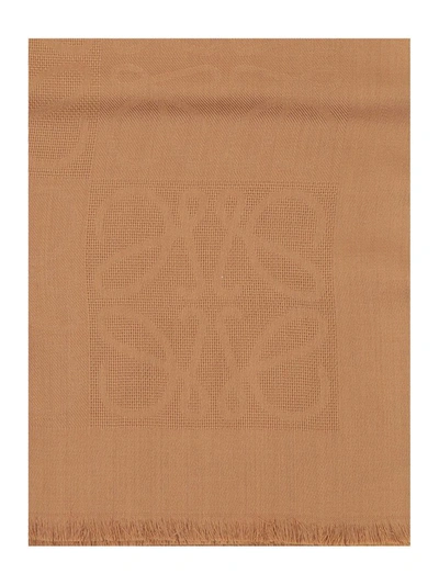 Shop Loewe Damero Scarf In Brown