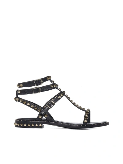 Shop Ash Play Studded Sandals In Black