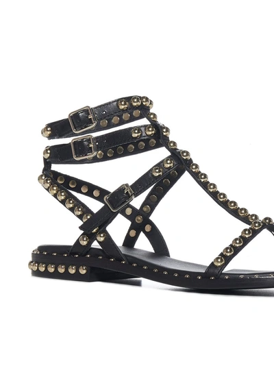 Shop Ash Play Studded Sandals In Black