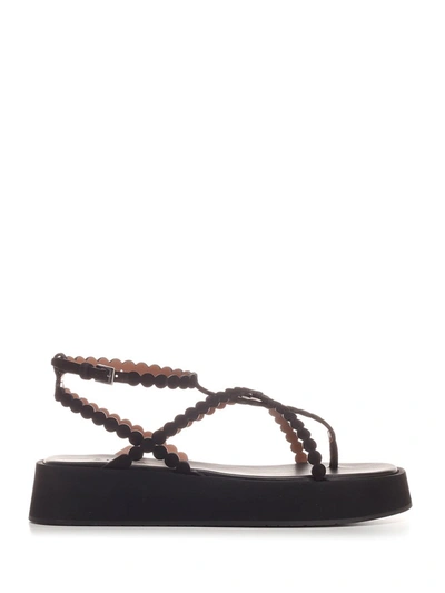 Alaïa Dot Leather Ankle-strap Platform Sandals In Black | ModeSens