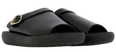 Shop Ancient Greek Sandals Gallae Comfort Sandals In Black