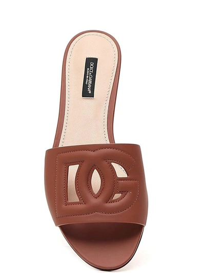 Shop Dolce & Gabbana Logo Cut Out Sandals In Brown